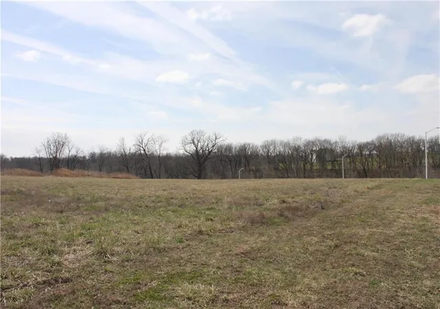 2nd image of 10008 N Cypress (lt 7) Ave, Kansas City, MO 64156 | MLS# 2367748
