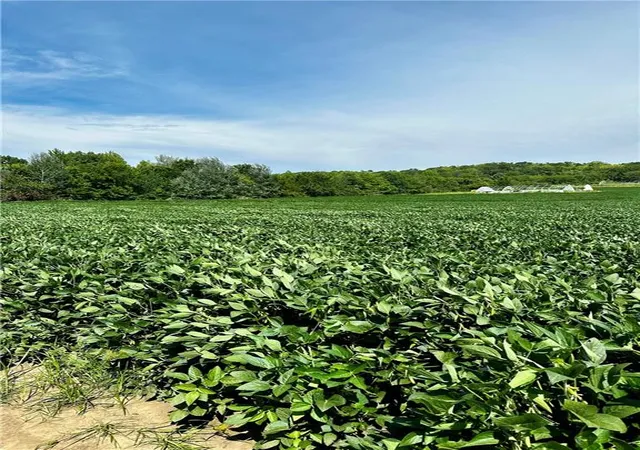 Photo 3 of Land for sale at 00000 Michals Rd, Leavenworth, KS 66048 | MLS# 2506732 | Listing updated on 2026-06-30