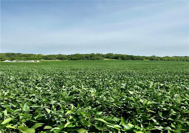 Photo 3 of Land for sale at 00000 Michals Rd, Leavenworth, KS 66048 | MLS# 2506732 | Listing updated on 2026-06-30