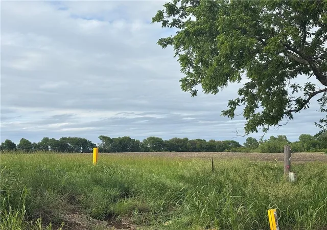 Photo 3 of Land for sale at 169 Hwy, Spring Hill, KS 66083 | MLS# 2507540 | Listing updated on 2026-06-08