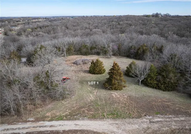 Homes for sale in Buckner, MO | 1505 S Buckner Tarsney Rd, Buckner, MO 64016 | MLS# 2541070