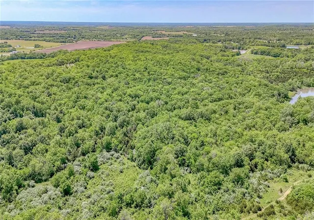 Homes for sale in Holden, MO | Lot 7 Deer View Estates Rd, Holden, MO 64040 | MLS# 2550431