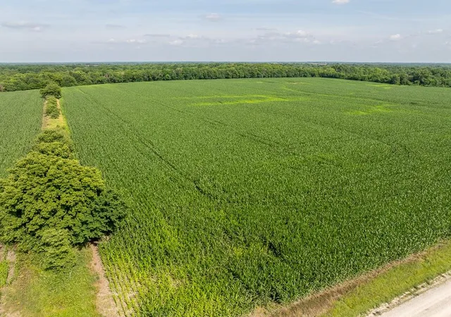 Photo 2 of Land for sale at S Staley Mound Rd, Garden City, MO 64747 | MLS# 2558189 | Listing updated on 2026-07-13