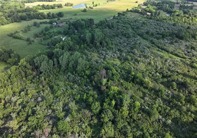 Homes for sale in Holt, MO | 19702 County Rd C Hwy, Holt, MO 64048 | MLS# 2558412