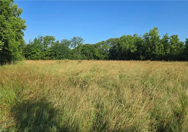 Land for sale at Fulks Rd, Bates City, MO 64011 | MLS# 2559681 | Listing updated on 2026-06-26