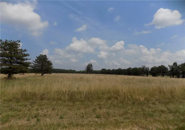 3rd image of 59 Hwy & Kingman Rd, Ottawa, KS 66067 | MLS# 2563167