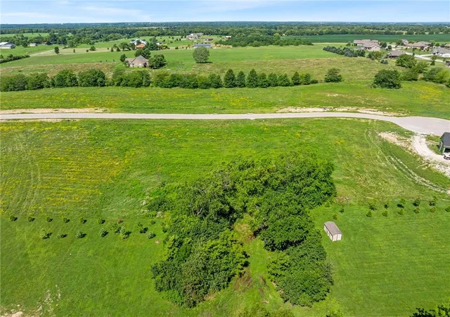4th image of 13311 Winner'S Cir, Smithville, MO 64089 | MLS# 2566956