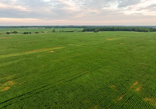3rd image of Sw 600 Rd, Montrose, MO 64770 | MLS# 2567960