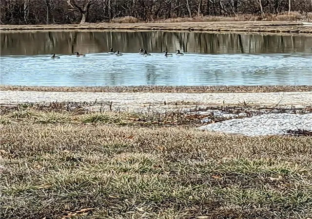 28th image of 6205 S Chiles Rd, Blue Springs, MO 64014 | MLS# 2572759