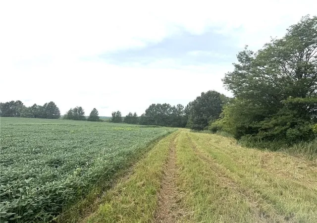 Photo 3 of Land for sale at Tbd State Hwy V Hwy, Gallatin, MO 64640 | MLS# 2574170 | Listing updated on 2026-08-25