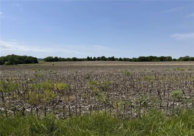 Homes for sale in Gallatin, MO | Tbd Hwy V Hwy, Gallatin, MO 64640 | MLS# 2574176