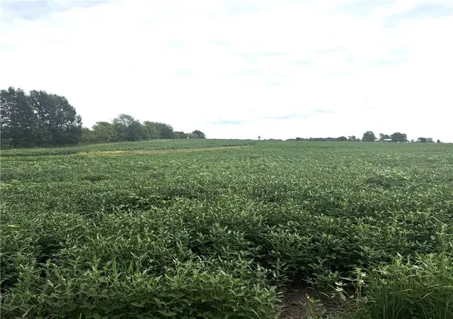 Photo 5 of Land for sale at Tbd Hwy V, Gallatin, MO 64640 | MLS# 2574176 | Listing updated on 2026-08-25