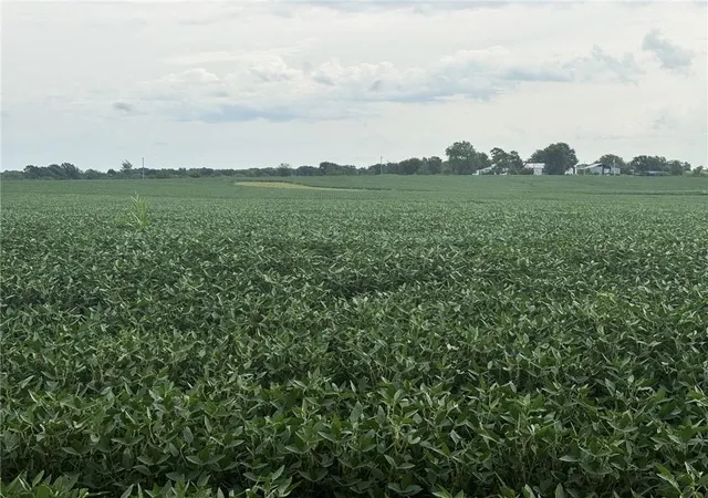 Photo 6 of Land for sale at Tbd Hwy V, Gallatin, MO 64640 | MLS# 2574176 | Listing updated on 2026-08-25