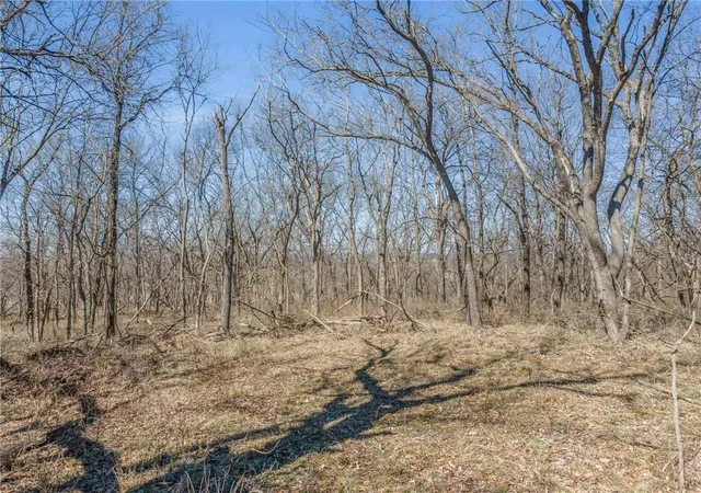 Photo 3 of Land for sale at 12456 Acres Garner Rd, Richmond, MO 64085 | MLS# 2577422 | Listing updated on 2026-08-19