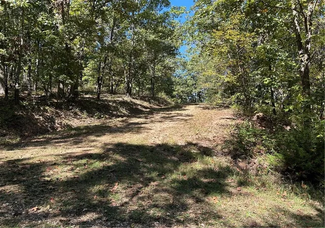 Homes for sale in Edwards, MO | Off Kip Dr, Edwards, MO 65326 | MLS# 2579575