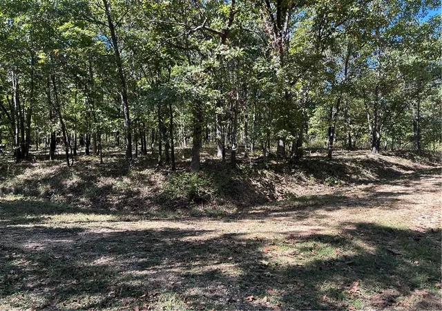 Homes for sale in Edwards, MO | Off Kip Dr, Edwards, MO 65326 | MLS# 2579575