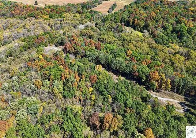 Photo 3 of Land for sale at Lot 6 Main St Rd, Sedalia, MO 65301 | MLS# 2582573 | Listing updated on 2026-10-06