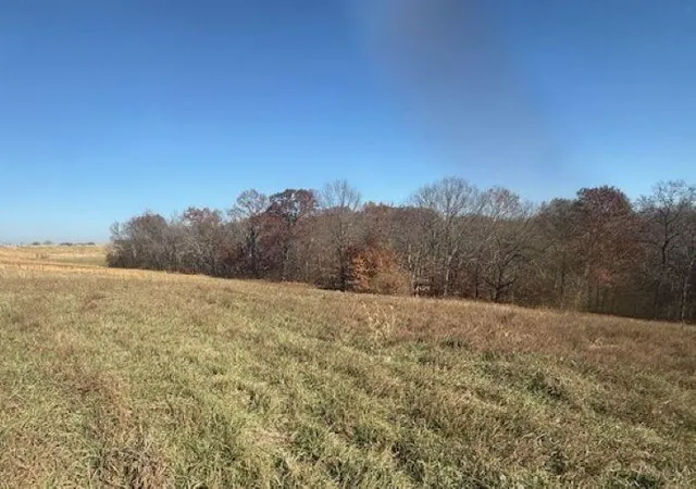 2nd image of Loo 2 Ne Mt Olivet Rd, Smithville, MO 64089 | MLS# 2588486