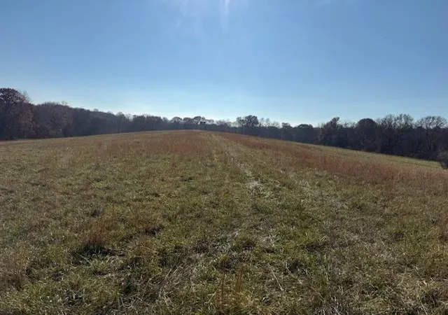 3rd image of Loo 2 Ne Mt Olivet Rd, Smithville, MO 64089 | MLS# 2588486