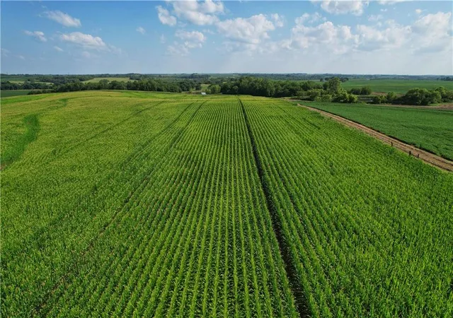 5th image of 0000 310th Road, Everest, KS 66424 | MLS# 2591693