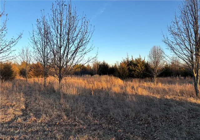 Photo 2 of Land for sale at 34 & 38 Louisiana Dr, Linn Valley, KS 66040 | MLS# 2597759 | Listing updated on 2026-09-13