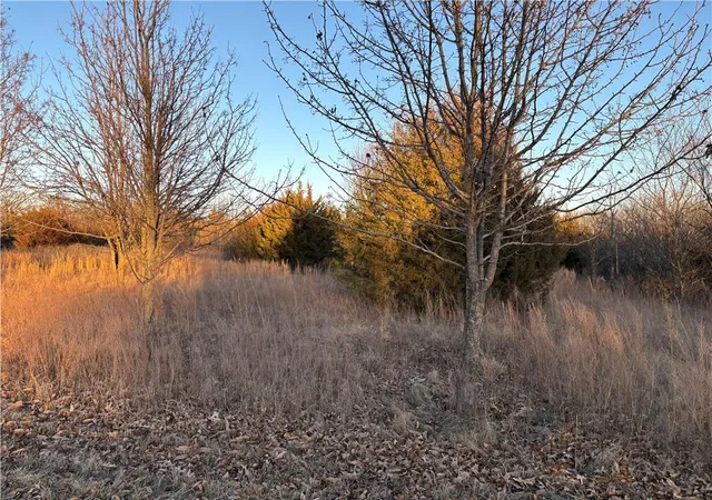 Photo 3 of Land for sale at 34 & 38 Louisiana Dr, Linn Valley, KS 66040 | MLS# 2597759 | Listing updated on 2026-09-13