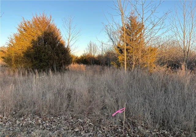 Photo 4 of Land for sale at 34 & 38 Louisiana Dr, Linn Valley, KS 66040 | MLS# 2597759 | Listing updated on 2026-09-13