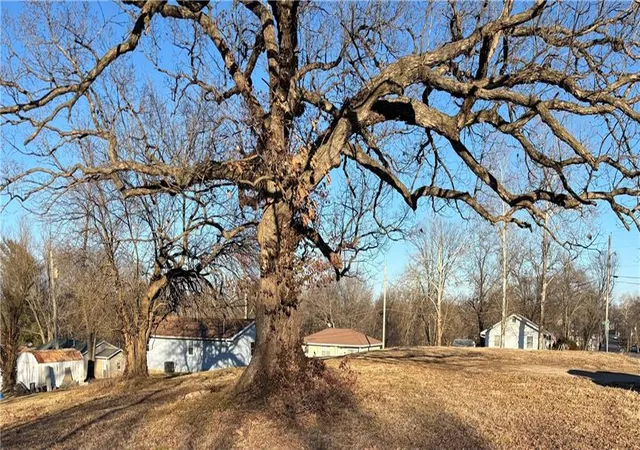 Homes for sale in El Dorado Springs, MO | 307/301 W Spring St, El Dorado Springs, MO 64744 | MLS# 2599383