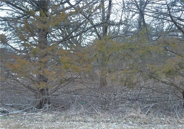 Photo 3 of Land for sale at W 371st Street, Osawatomie, KS 66064 | MLS# 2602862 | Listing updated on 2026-08-27