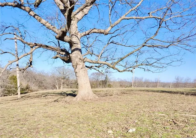 Photo 4 of Land for sale at 1001 S Van Dyke Rd, Buckner, MO 64016 | MLS# 2603733 | Listing updated on 2026-04-17