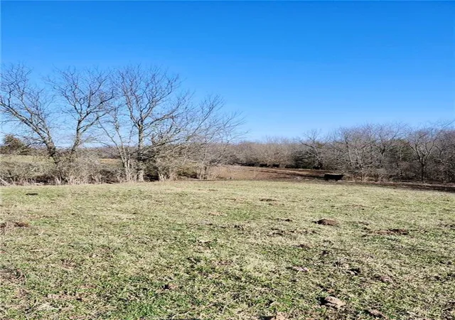 Homes for sale in Buckner, MO | 1125 S Van Dyke Rd, Buckner, MO 64016 | MLS# 2603738