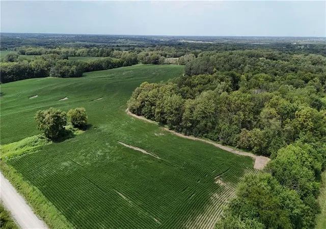 Photo 1 of Land for sale at Se Frank Ross Rd, Maysville, MO 64469 | MLS# 2604297 | Listing updated on 2026-08-11