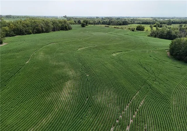Photo 19 of Land for sale at Se Frank Ross Rd, Maysville, MO 64469 | MLS# 2604297 | Listing updated on 2026-08-11