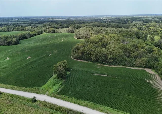 Photo 2 of Land for sale at Se Frank Ross Rd, Maysville, MO 64469 | MLS# 2604297 | Listing updated on 2026-08-11