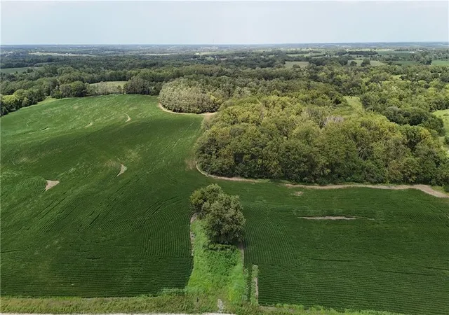 Photo 3 of Land for sale at SE Frank Ross Rd, Maysville, MO 64469 | MLS# 2604297 | Listing updated on 2026-08-11