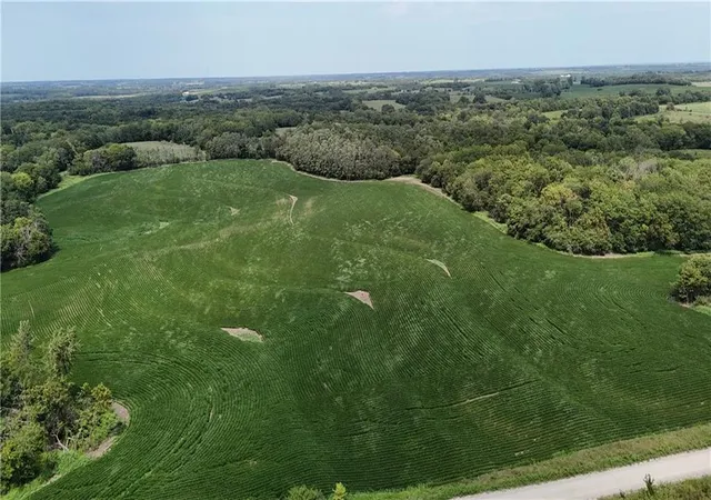 Photo 4 of Land for sale at SE Frank Ross Rd, Maysville, MO 64469 | MLS# 2604297 | Listing updated on 2026-08-11