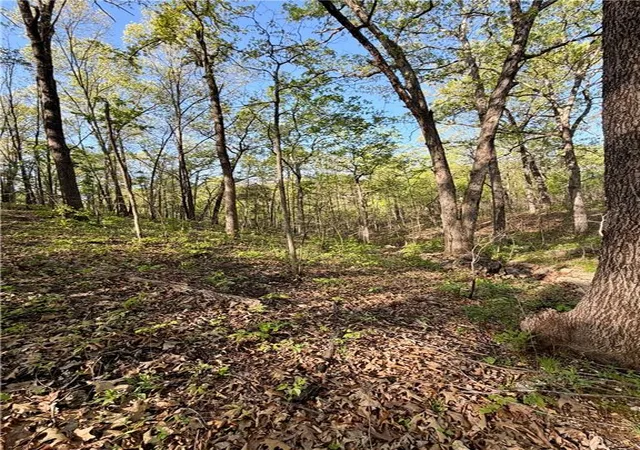 Photo 3 of Land for sale at Cliff House Dr, Edwards, MO 65326 | MLS# 2606187 | Listing updated on 2026-05-23