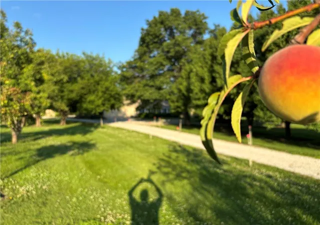 Homes for sale in Louisburg, KS | 25595 Rockville Rd, Louisburg, KS 66053 | MLS# 2606252