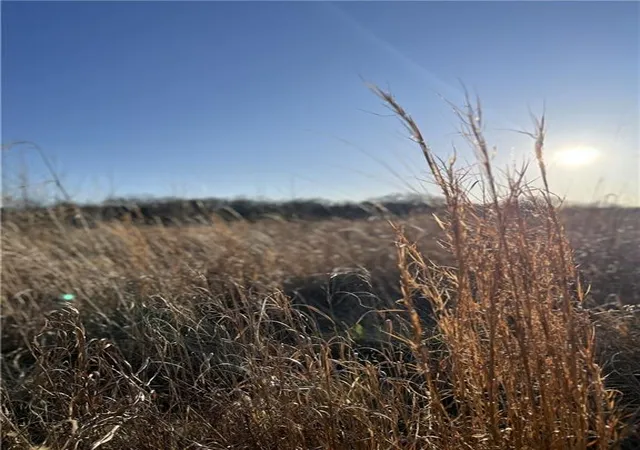 5th image of Tbd W 172 Ter, Stilwell, KS 66085 | MLS# 2606672