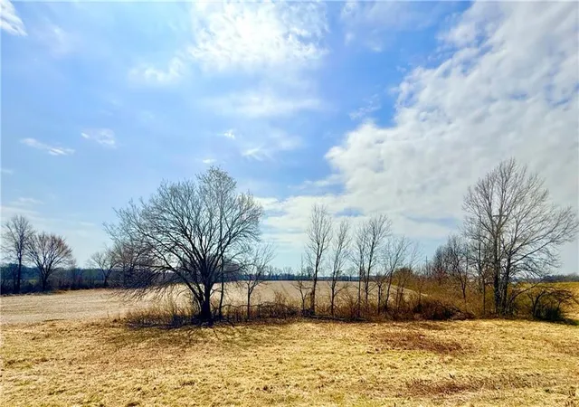 Photo 3 of Land for sale at E Grange Rd, Richards, MO 64778 | MLS# 2608946 | Listing updated on 2026-09-25