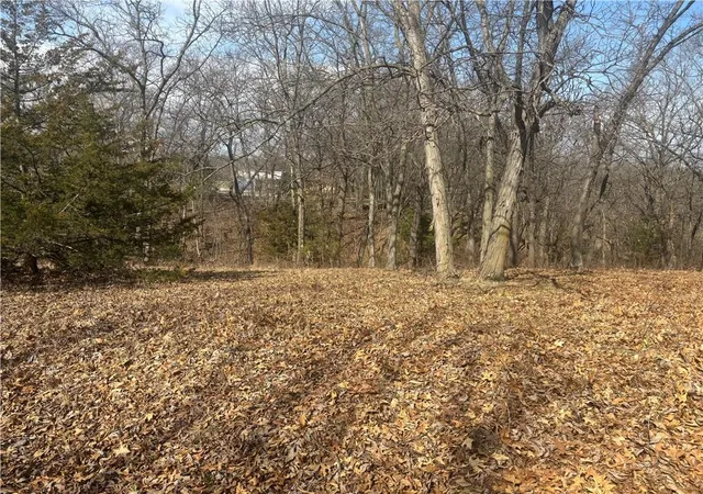 Homes for sale in Altamont, MO | Lot 3109 Lake Viking Ter, Altamont, MO 64620 | MLS# 2609451