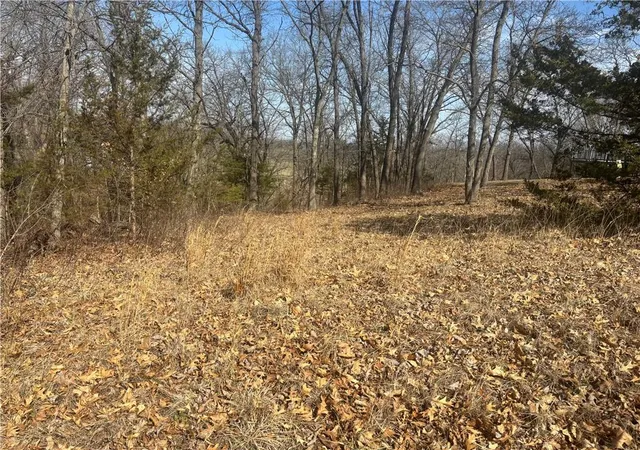 Homes for sale in Altamont, MO | Lot 3109 Lake Viking Ter, Altamont, MO 64620 | MLS# 2609451