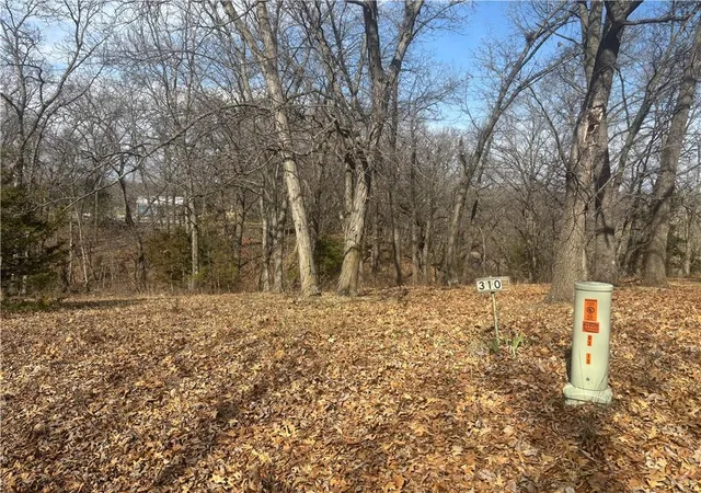 Homes for sale in Altamont, MO | Lot 3109 Lake Viking Ter, Altamont, MO 64620 | MLS# 2609451