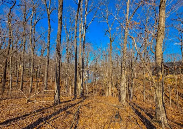 Homes for sale in Sunrise Beach, MO | Lot #323 Oak Dr, Sunrise Beach, MO 65079 | MLS# 2609619