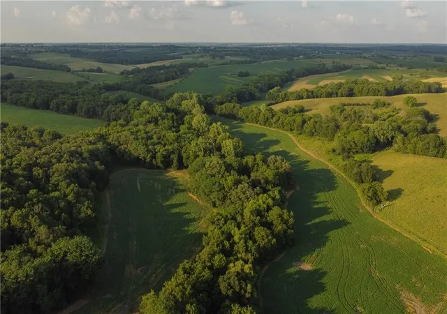 Photo 3 of Land for sale at Road 217, Grant City, MO 64456 | MLS# 2610442 | Listing updated on 2026-10-01
