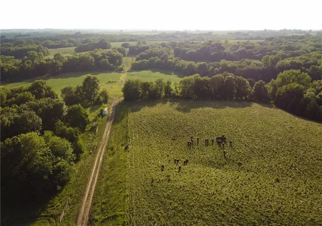 Photo 4 of Land for sale at Road 217, Grant City, MO 64456 | MLS# 2610442 | Listing updated on 2026-10-01