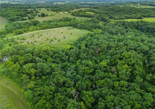 Photo 3 of Sale Pending at Tbd Rattlesnake Rd, Cowgill, MO 64637 | MLS# 2611853 | Listing updated on 2026-10-09