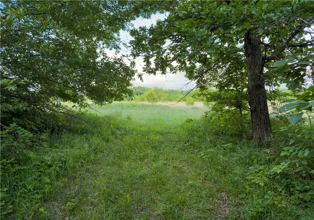 Homes for sale in Cowgill, MO | Tbd Rattlesnake Rd, Cowgill, MO 64637 | MLS# 2611853