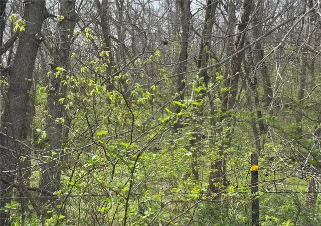 1st image of Tbd Nw 900* Rd, Warrensburg, MO 64093 | MLS# 2612931