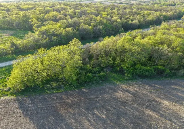 Photo 3 of Land for sale at 102nd Street, Gilman City, MO 64642 | MLS# 2612985 | Listing updated on 2026-10-01